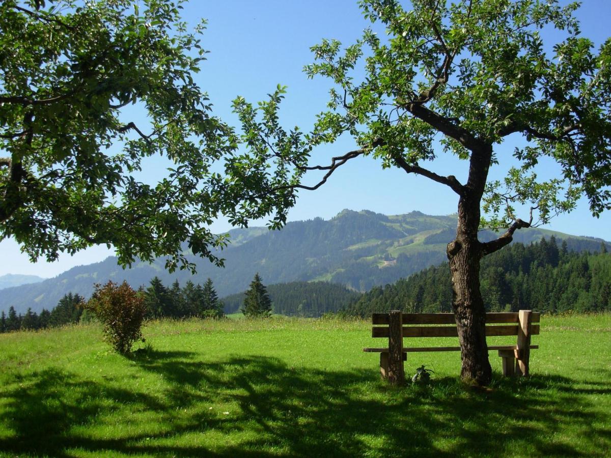 Filzenhof Lejlighed Kitzbühel Værelse billede