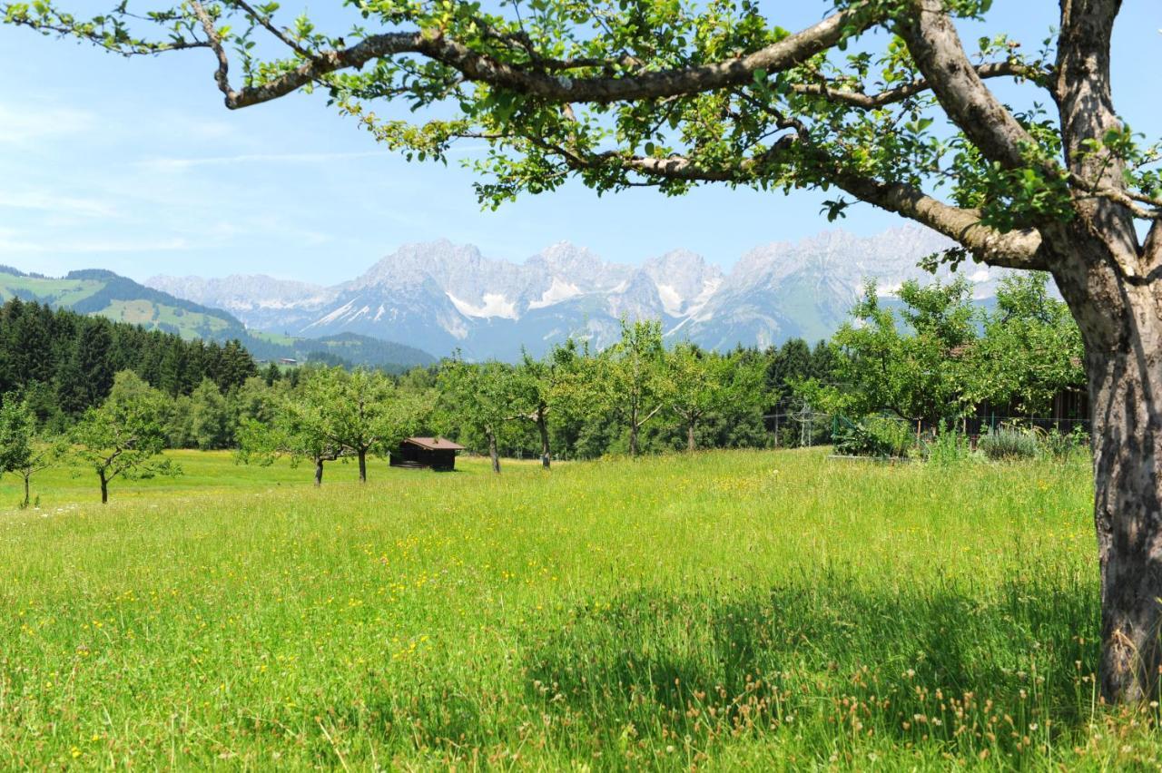 Filzenhof Lejlighed Kitzbühel Værelse billede