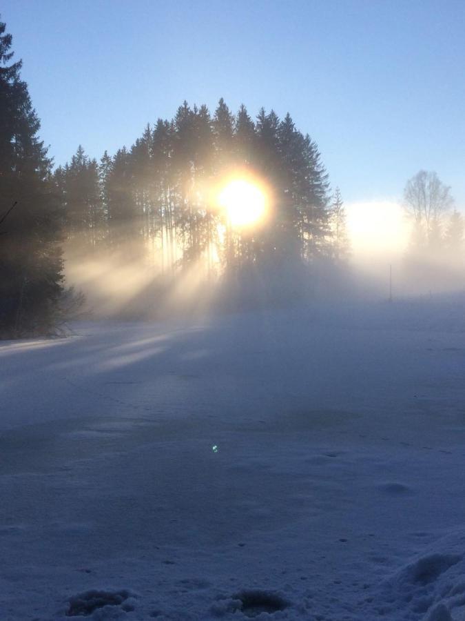 Filzenhof Lejlighed Kitzbühel Eksteriør billede