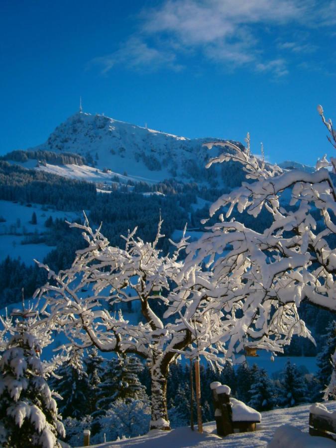 Filzenhof Lejlighed Kitzbühel Eksteriør billede